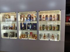 -谢列梅捷沃国际机场