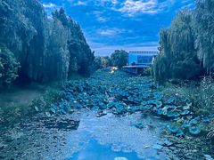 -石湖景区