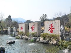 -香雪海