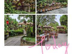 -青城甲(青城山店)