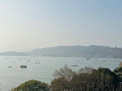 -杭州君悦酒店