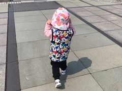 -南汇嘴观海公园