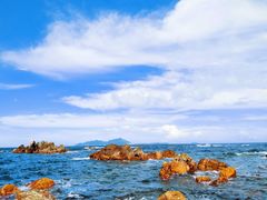 -西涌国际滨海旅游区