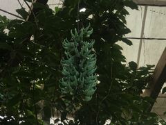 -华南国家植物园-售票处