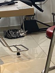 -长沙纹身·龙堂刺青·三土师傅的店