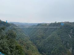 -四明山国家森林公园