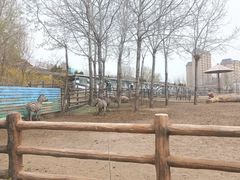 -大连森林动物园