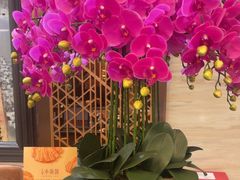 -上海小南国(国发店)