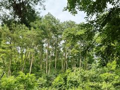 -黔灵山公园