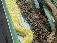 -广州长隆飞鸟乐园