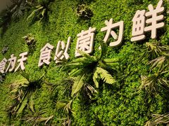 -菌乡缘·野生菌蒸汽鱼火锅(江边夜市店)