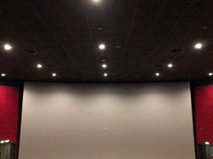 -SFC上影百联影城(八佰伴IMAX店)