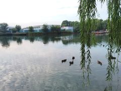 -海淀公园