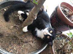 -新疆狼爷烤肉(宋庄店)