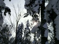 android_upload_pic-雪谷