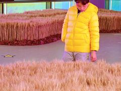 -上海浦东国际机场-T2航站楼