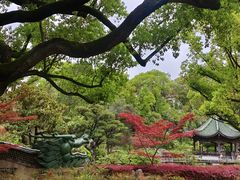 -申粤轩酒楼·三十年粤菜经典(丁香花园店)