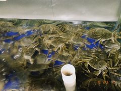 -阳澄湖大闸蟹·琼灵阁牌品牌连锁(吴中总店)