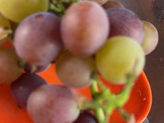 -马陆小张葡萄园农家乐