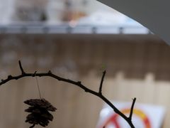 -BLACKSHEEP ESPRESSO(建国中路店)
