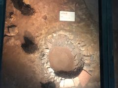 -南越王博物院(王宫展区)