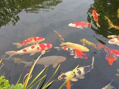 -绣园·茶食宴(湘绣博物馆店)