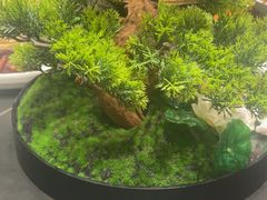 -映像威海·威海宴(威高广场店)