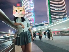 -演武大桥观景平台