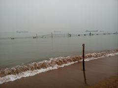 -大湾区中央湿地公园