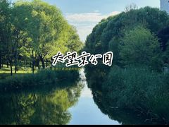 -大望京公园