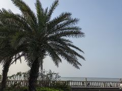 -白沙门生态公园