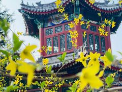 -宣武艺园