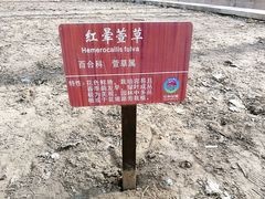 -仁和公园(顺义区)