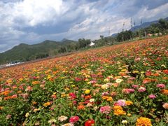 iphone_upload_pic-乌龙峡谷景区