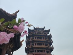 -黄鹤楼公园(黄鹤楼)