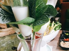 -探窝·竹笙椰子鸡(杨箕店)