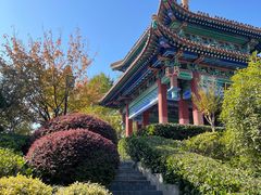 -阅江楼风景区