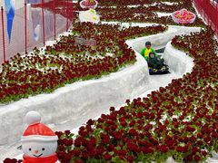 -广州热雪奇迹