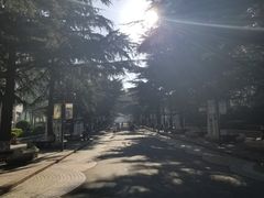 -贮水山儿童公园