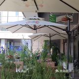 北京商圈吃喝地图丨伴月意餐惊艳到我啦！