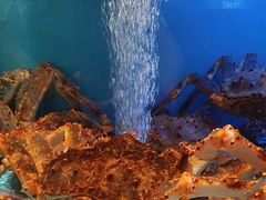 -阿伟海鲜楼·福建菜(延寿店)