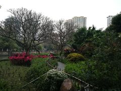 -晓港公园