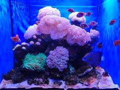 -多彩贵州城极地海洋世界