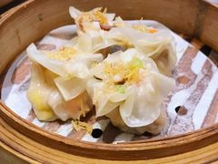 菊花烧卖-新兴·金羊座·粤菜点心(乐峰店)
