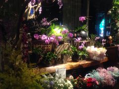 -杂咖zacup(领展中心城店)
