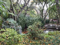 -鹅岭公园瞰胜楼