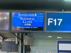 -新加坡航空公司(ION)