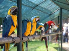 -西霞口神雕山野生动物世界