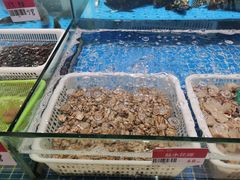 -阿毛饭店·宁波老字号(儿童公园旗舰店)