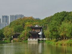 -八大山人梅湖景区